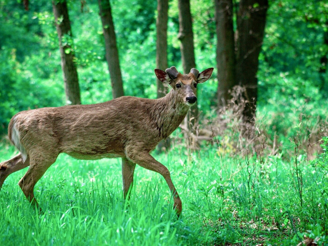 The Grove-格伦维尤必去景点