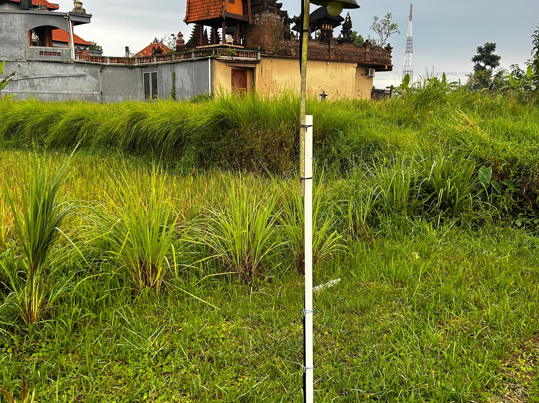 苏丽水疗度假村主图