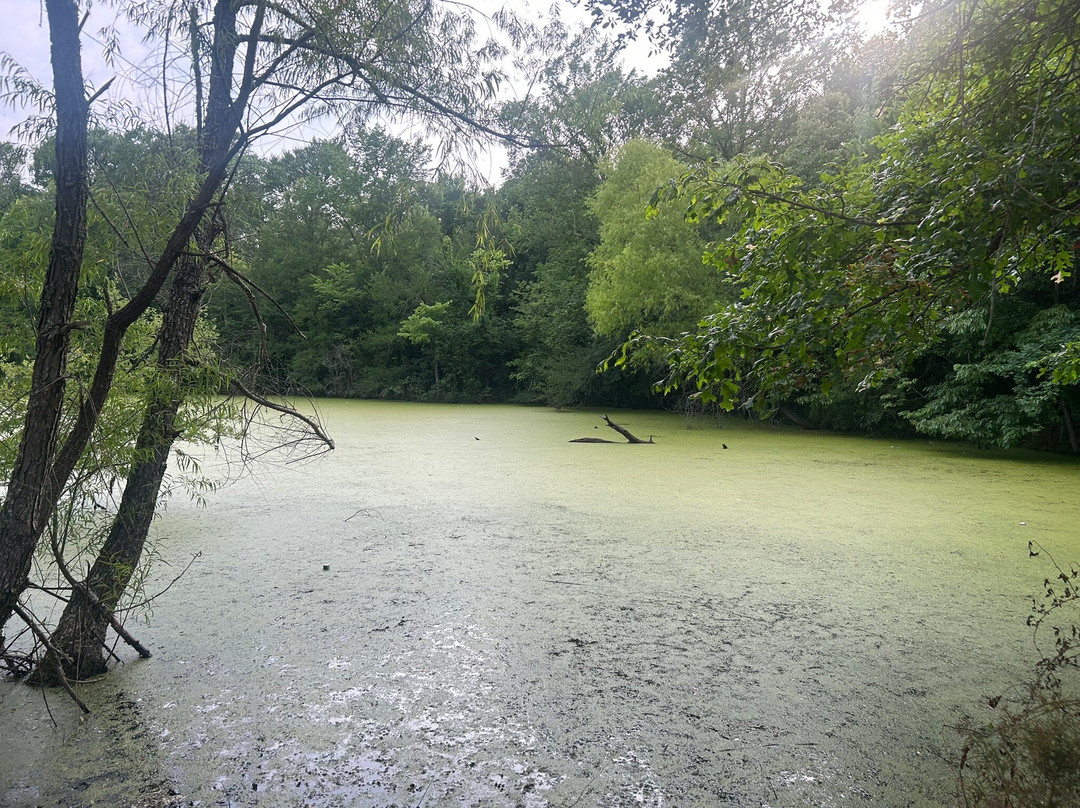 Monster Mart-Fouke必去景点