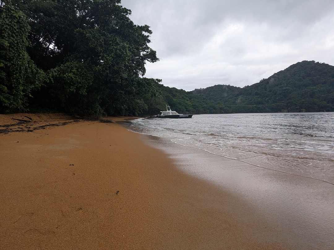 Nosy Mangabe Special Reserve景点图片
