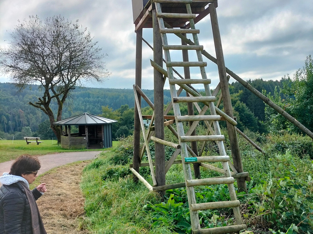 Pension Haus Anny主图