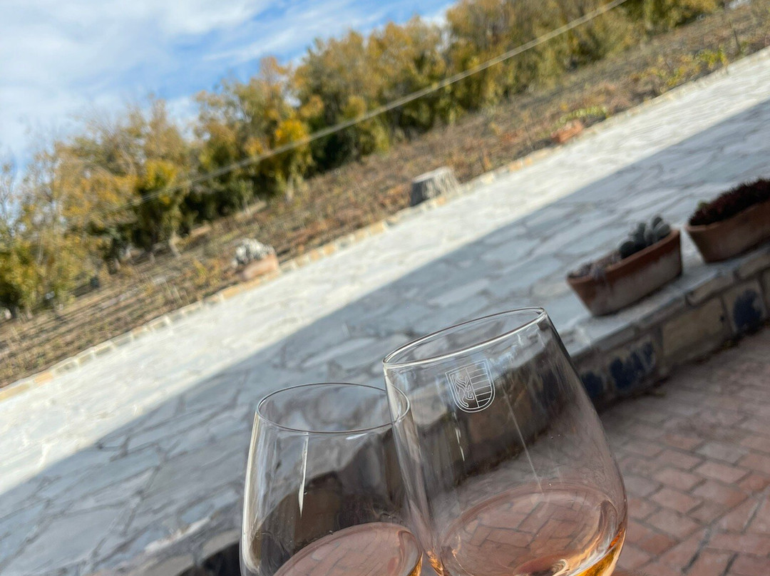 Bodega RGMX-Parras de la Fuente必去景点