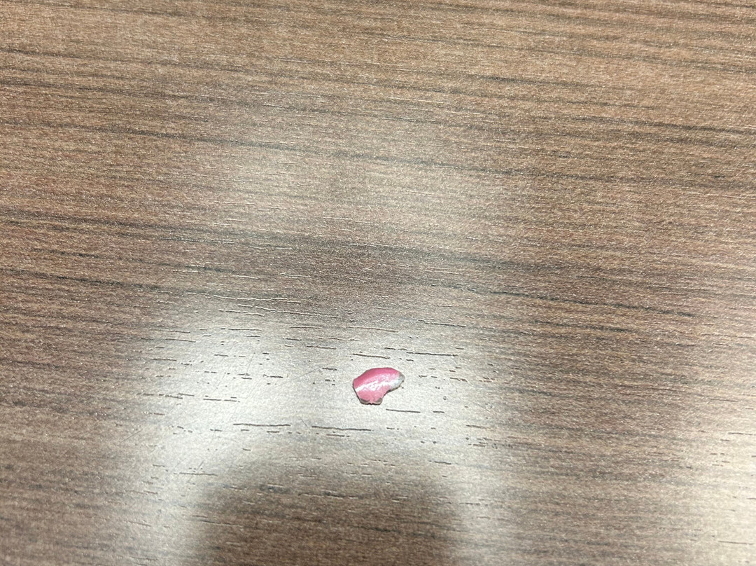 Best Western Port Aransas主图