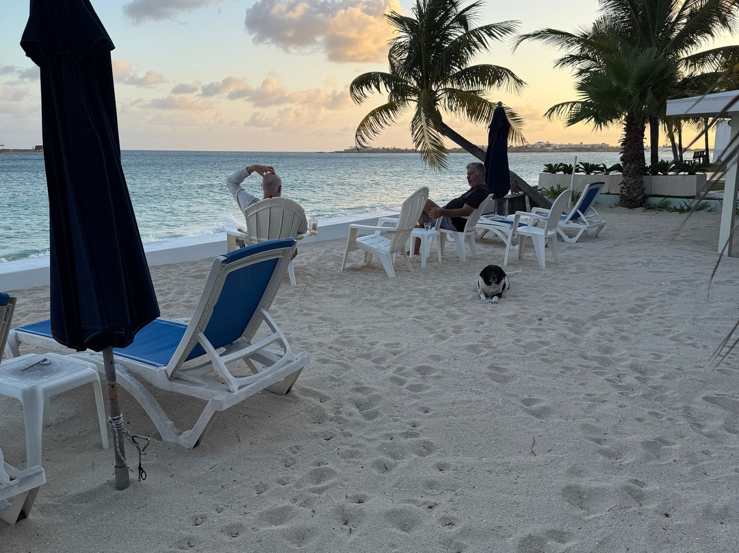 The Horny Toad Guest House主图