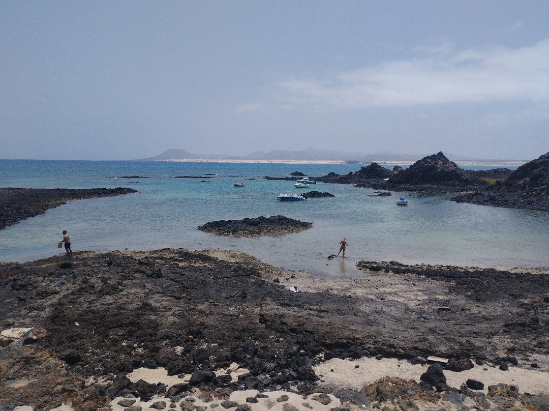 Isla de Lobos景点图片
