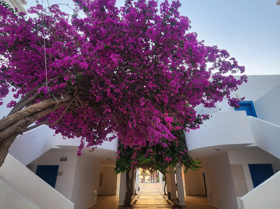 Ladonia Hotels Zemda主图