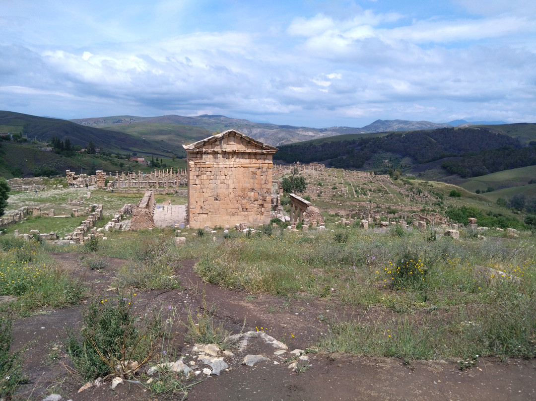 Roman Ruins of Djemila景点图片