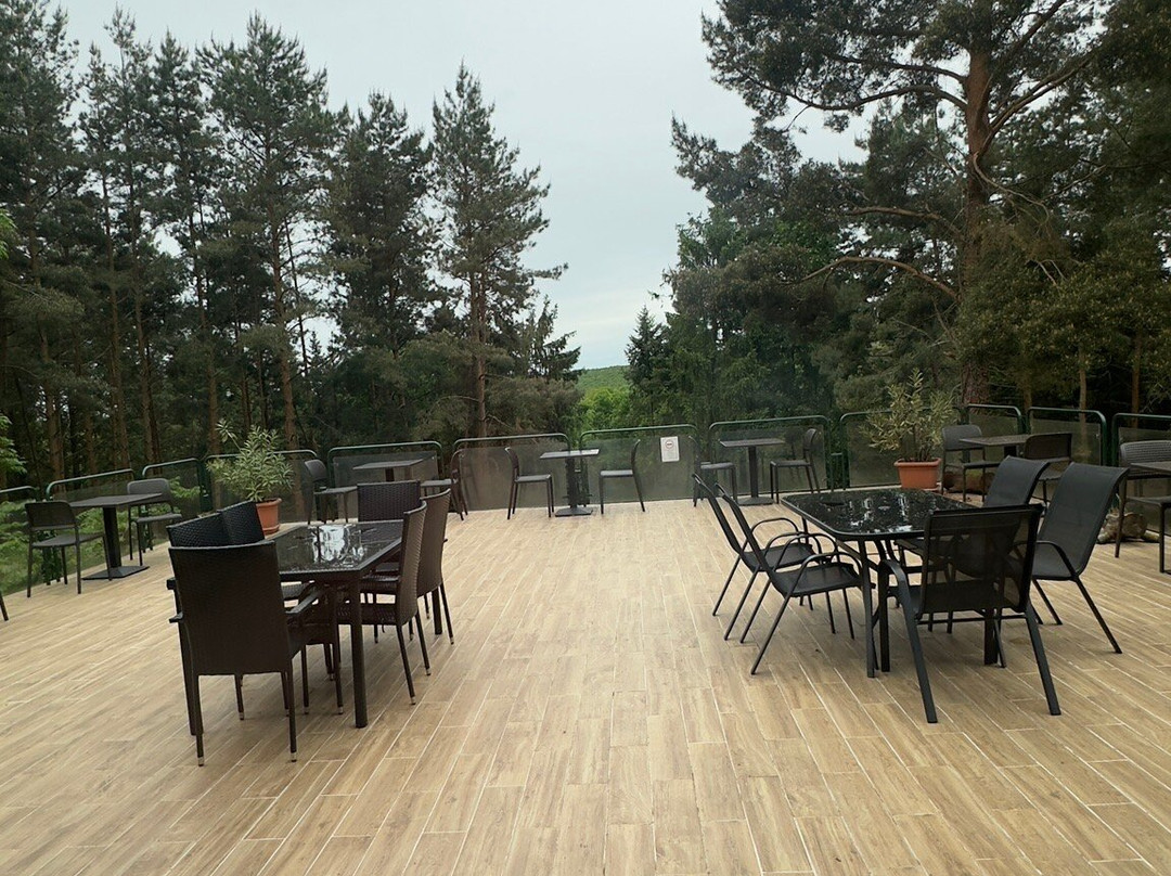 Panorama Hotel Noszvaj主图