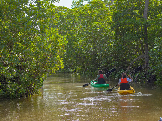 Mkoko Explorers-瓦塔木必去景点