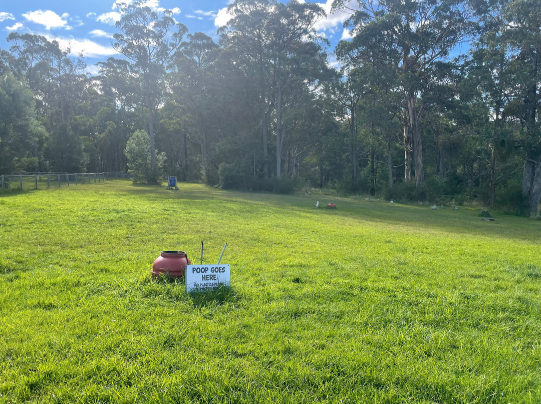 Brackenbush Unleashed Dog Park景点图片