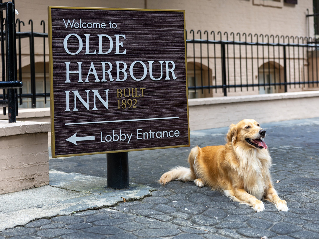 萨凡纳酒店住宿-Olde Harbour Inn