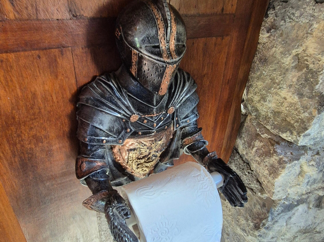 Burg Plankenstein主图