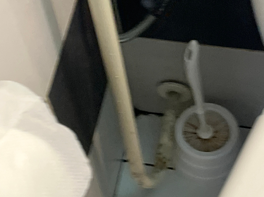 Hotel Novi Sad主图