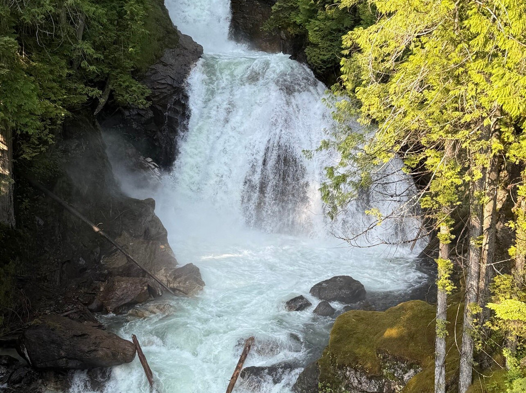 Crazy Creek Suspension Bridge-Malakwa必去景点