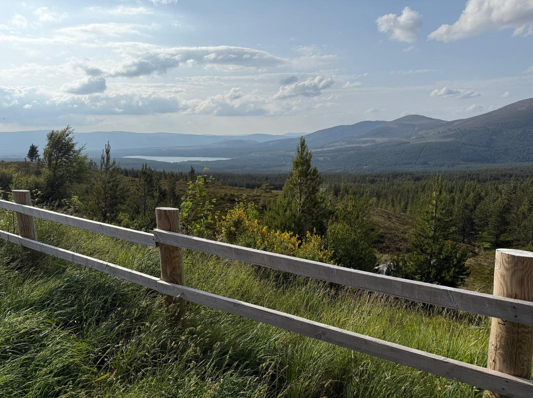 Cairngorms National Park-阿维莫尔凯恩戈姆必去景点