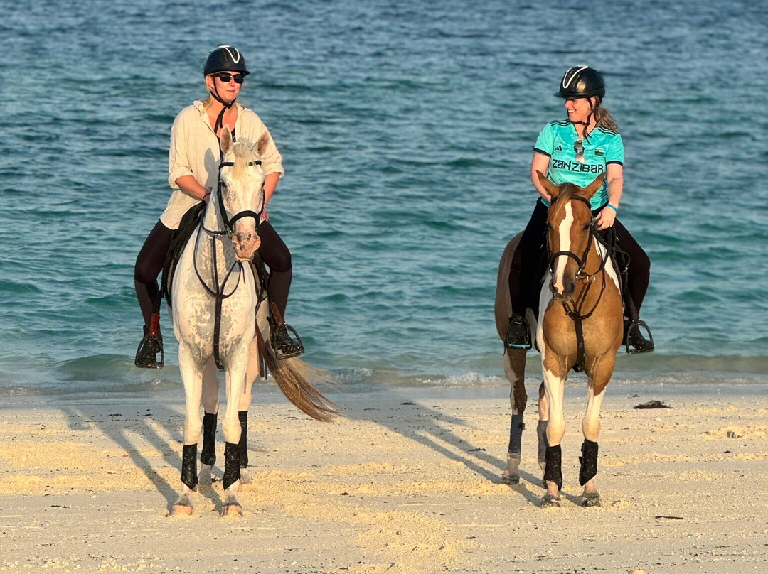 Zanzibar Horse Club-孥归必去景点