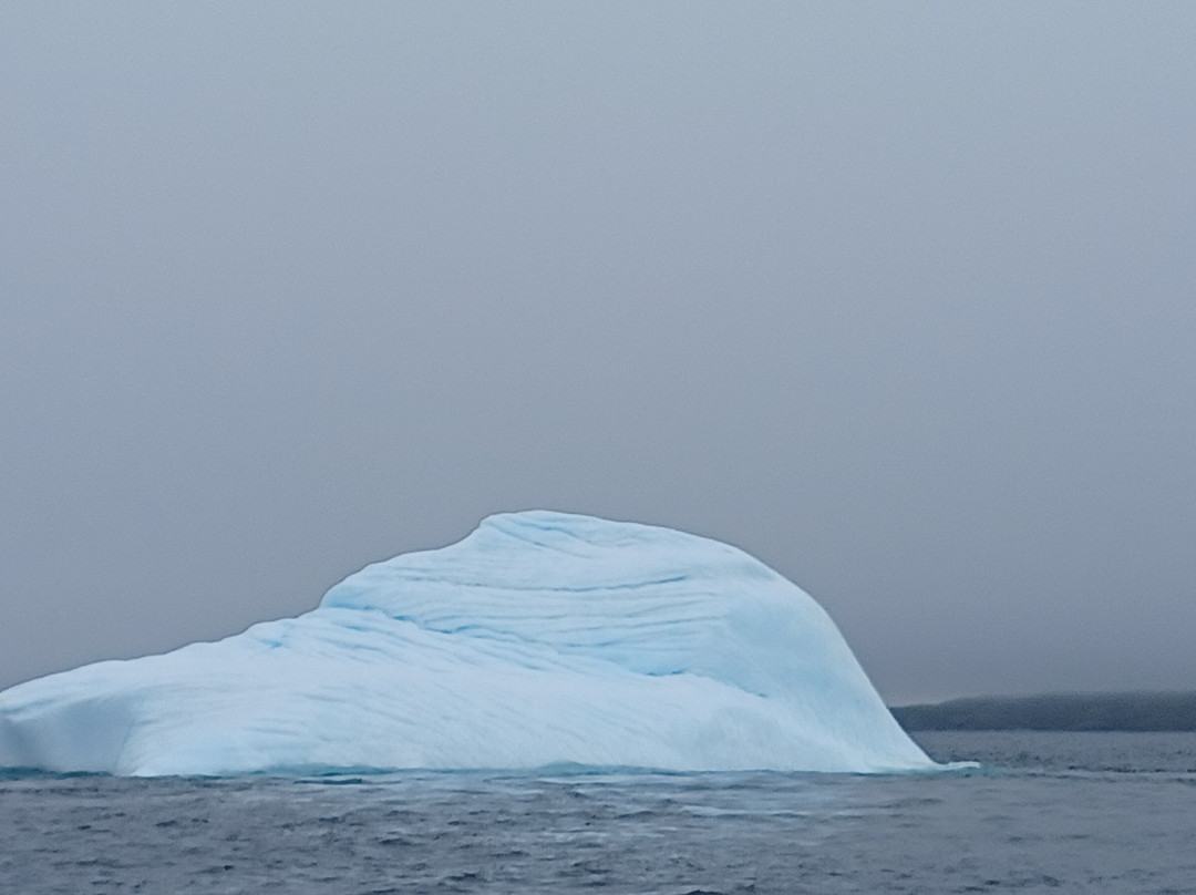 Daily Catch Ocean Tours-St Lunaire-Griquet必去景点