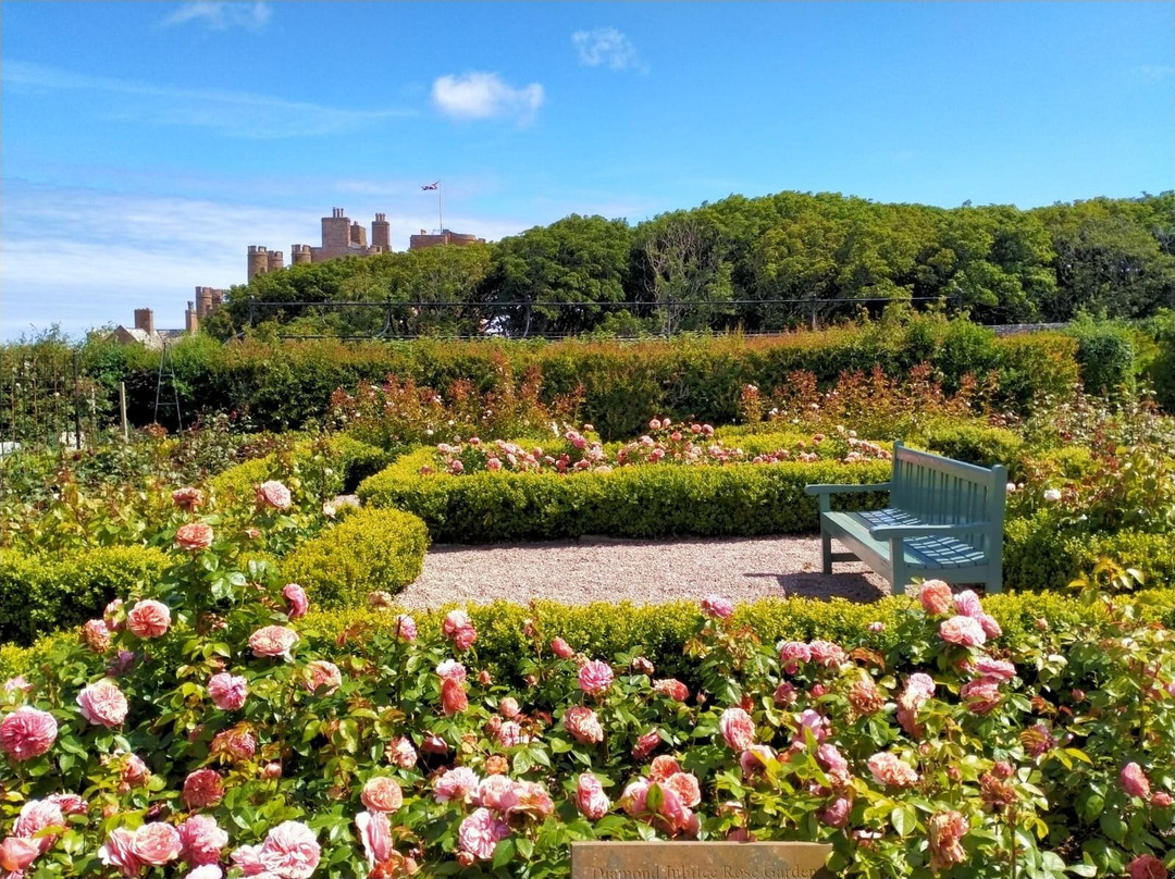 The Castle & Gardens of Mey-Thurso必去景点