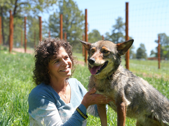 Colorado Wolf and Wildlife Center-Divide必去景点