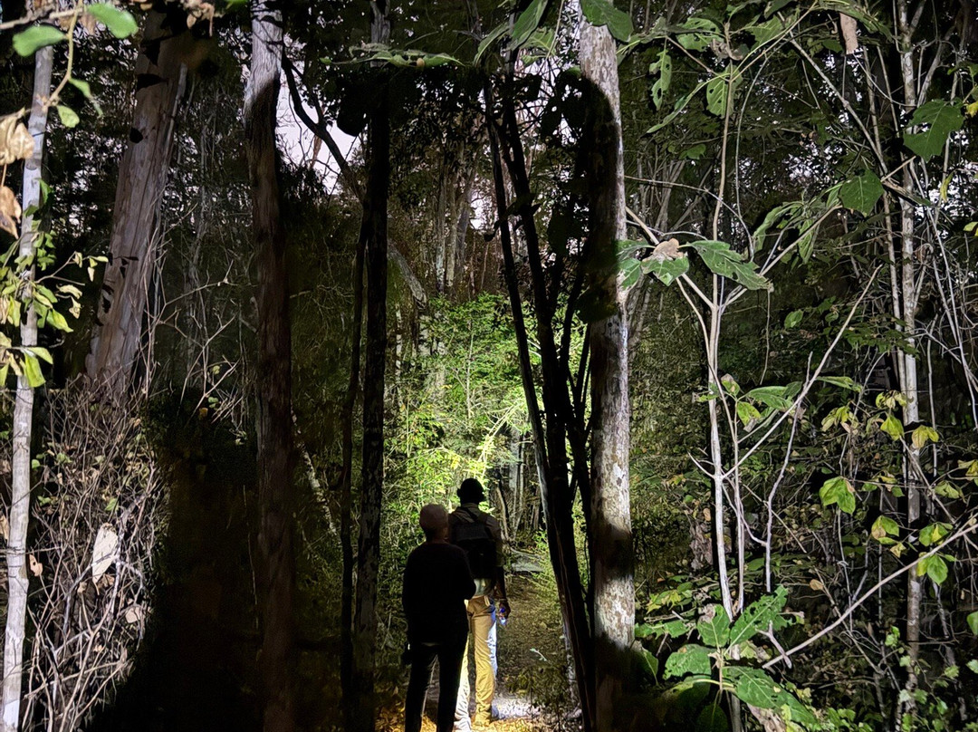 Remote River Expeditions - Madagascar-Morondava必去景点