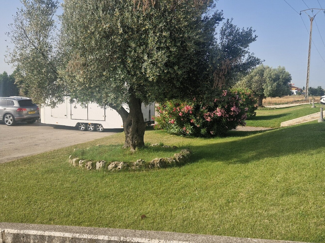 Hotel Camino Real主图