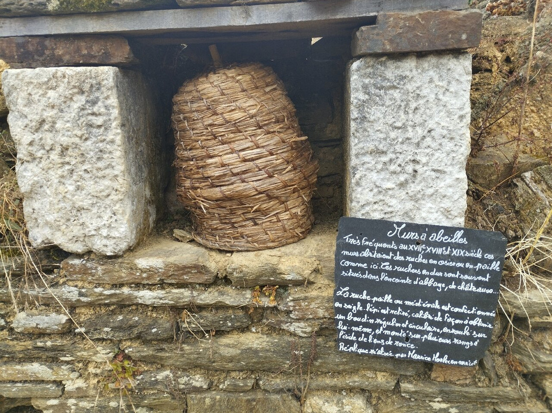 Site Abbatial de Saint-Maurice-Clohars-Carnoet必去景点