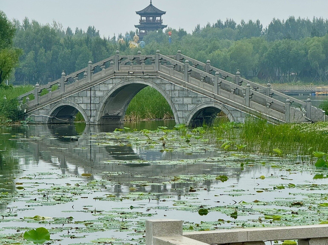 长春北湖国家湿地公园-长春市必去景点