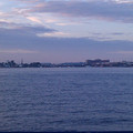 PamLeo