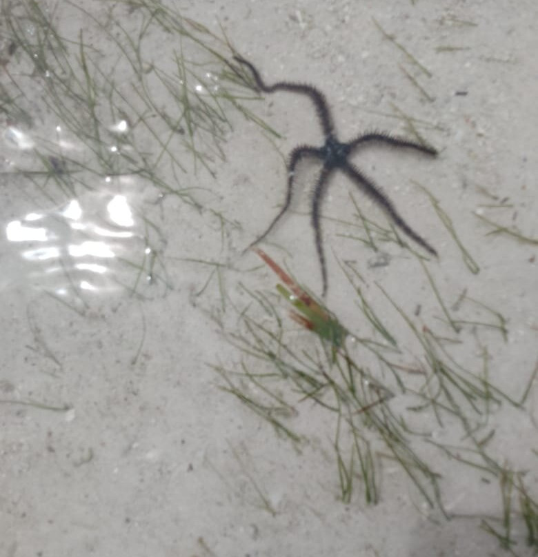 Starluck Travel Limited-内罗毕必去景点