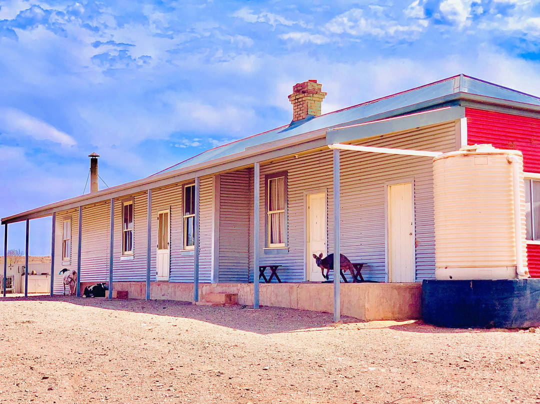 Mount Gipps StationStay