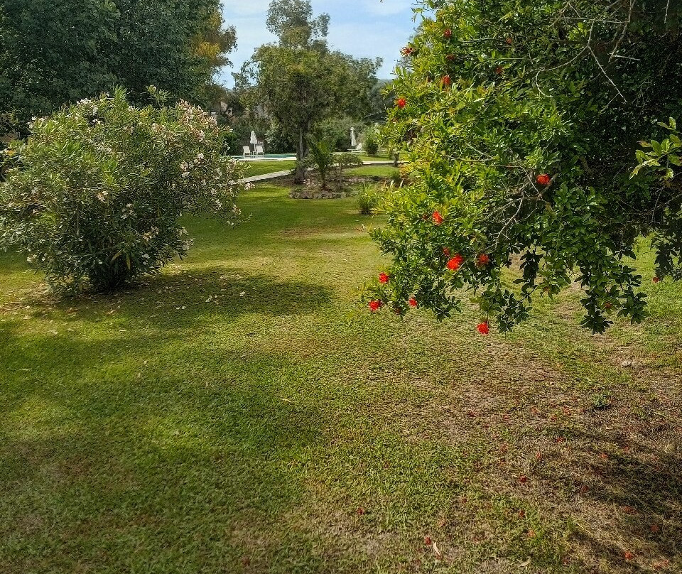 Tellis Holiday Rooms By Hotelius主图