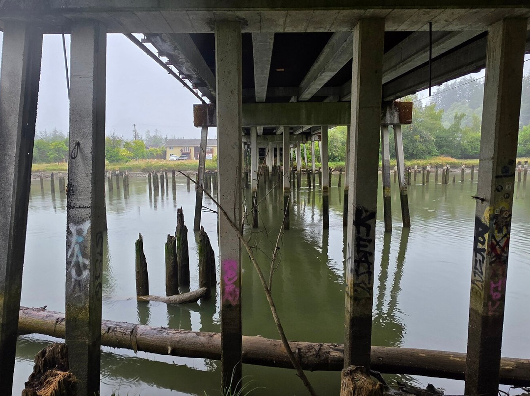 Kurt Cobain Memorial Park-阿伯丁必去景点