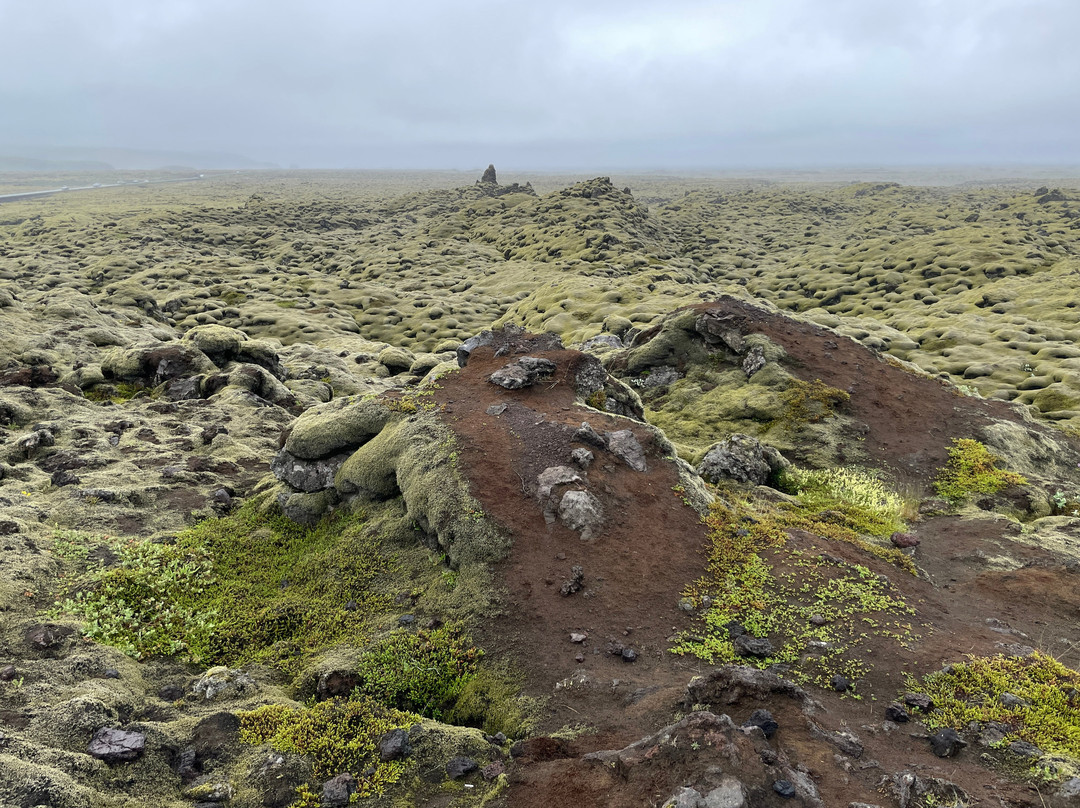 Eldhraun Lava Field-科克拜亚克劳斯特必去景点