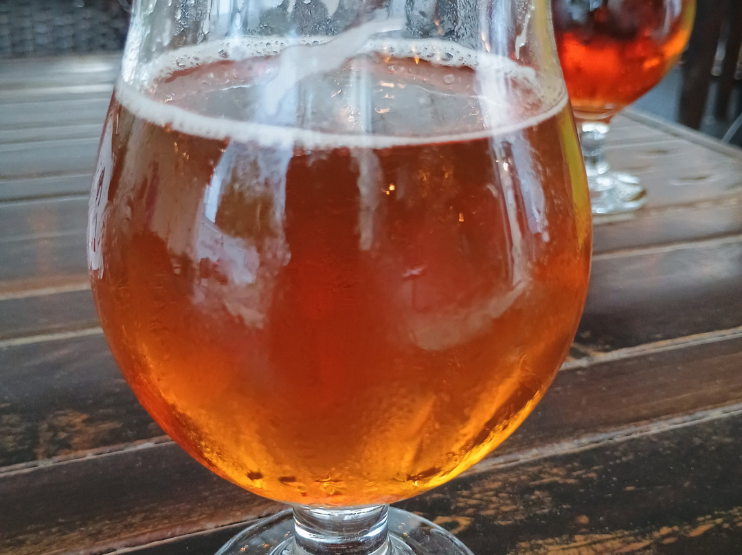 Revelation Craft Brewing Company-里霍博斯比奇必去景点