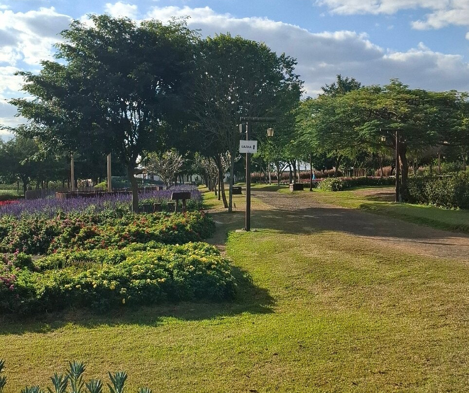 Bloemen Park-Holambra必去景点