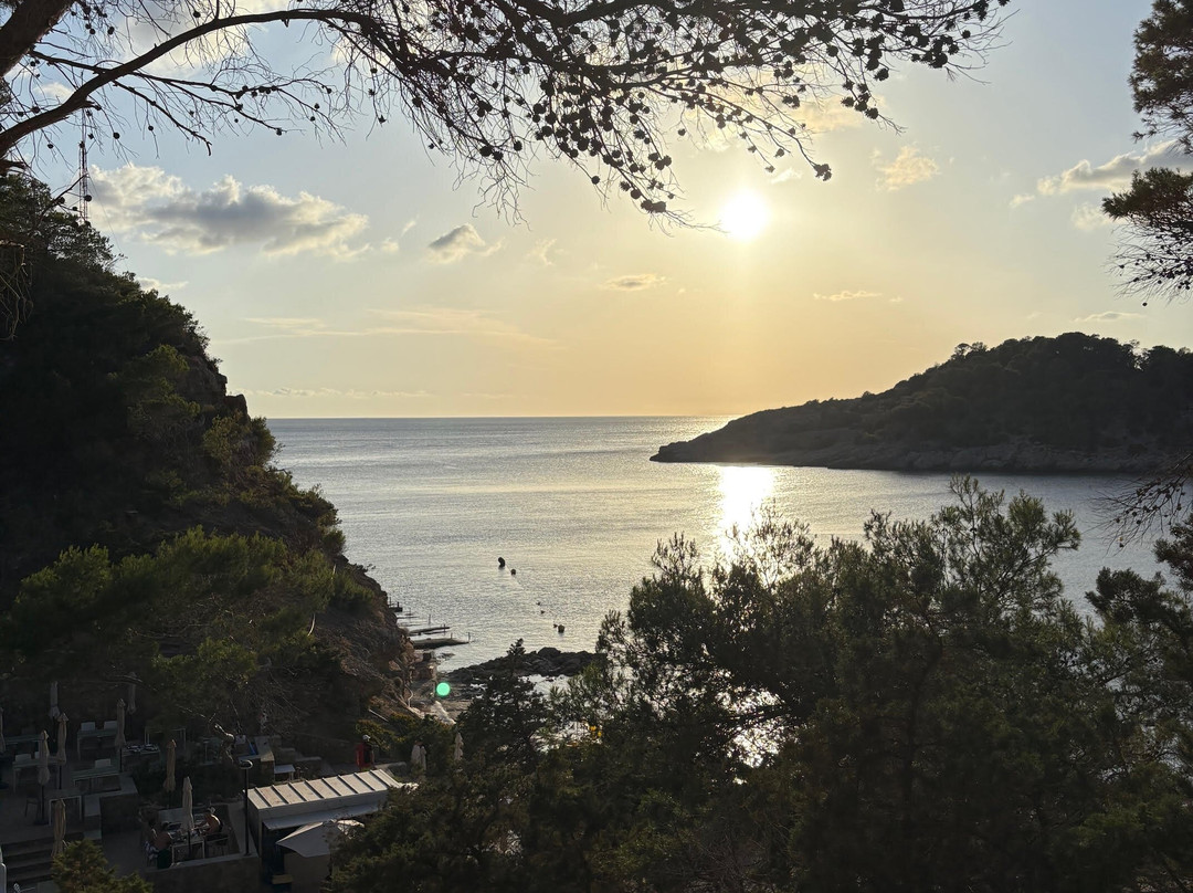 Playa Cala Salada-圣安东尼德波特曼尼必去景点