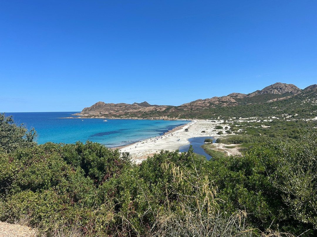 Plage de l'Ostriconi-Palasca必去景点