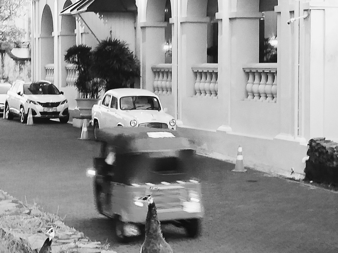 Bhathiya Tours-加勒必去景点