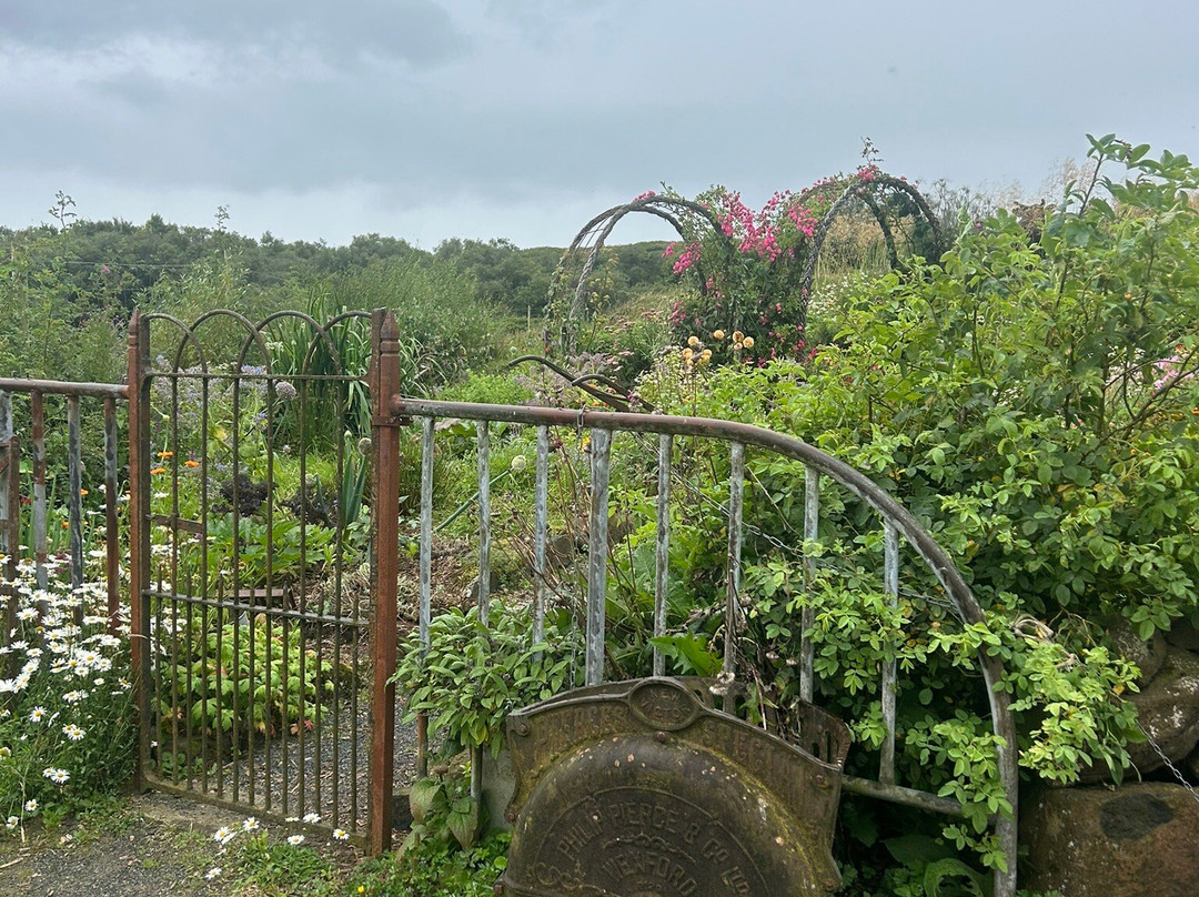 Isle of Mull Cheese-Tobermory必去景点