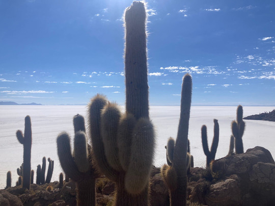 Expediciones Monte Blanco-乌尤尼必去景点