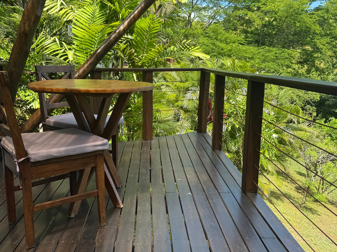 Mikado Natural Lodge主图