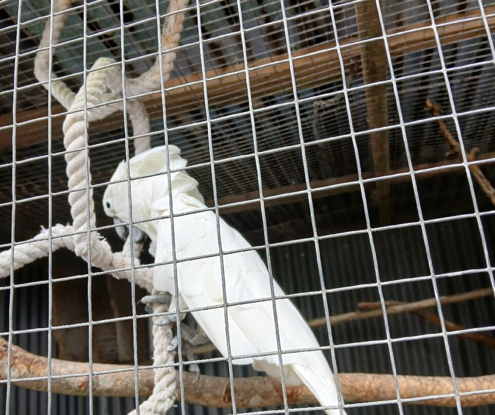 Porfell Wildlife Park & Sanctuary-利斯卡德必去景点