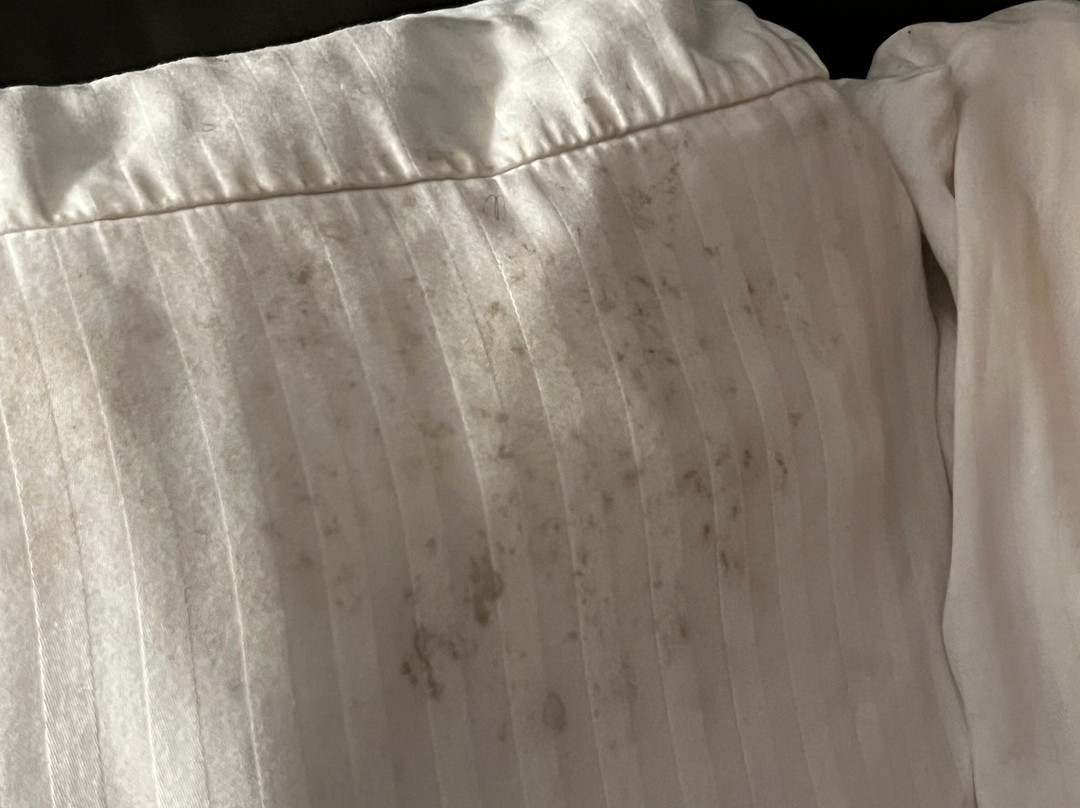 La Quinta Inn & Suites by Wyndham Columbus MS主图