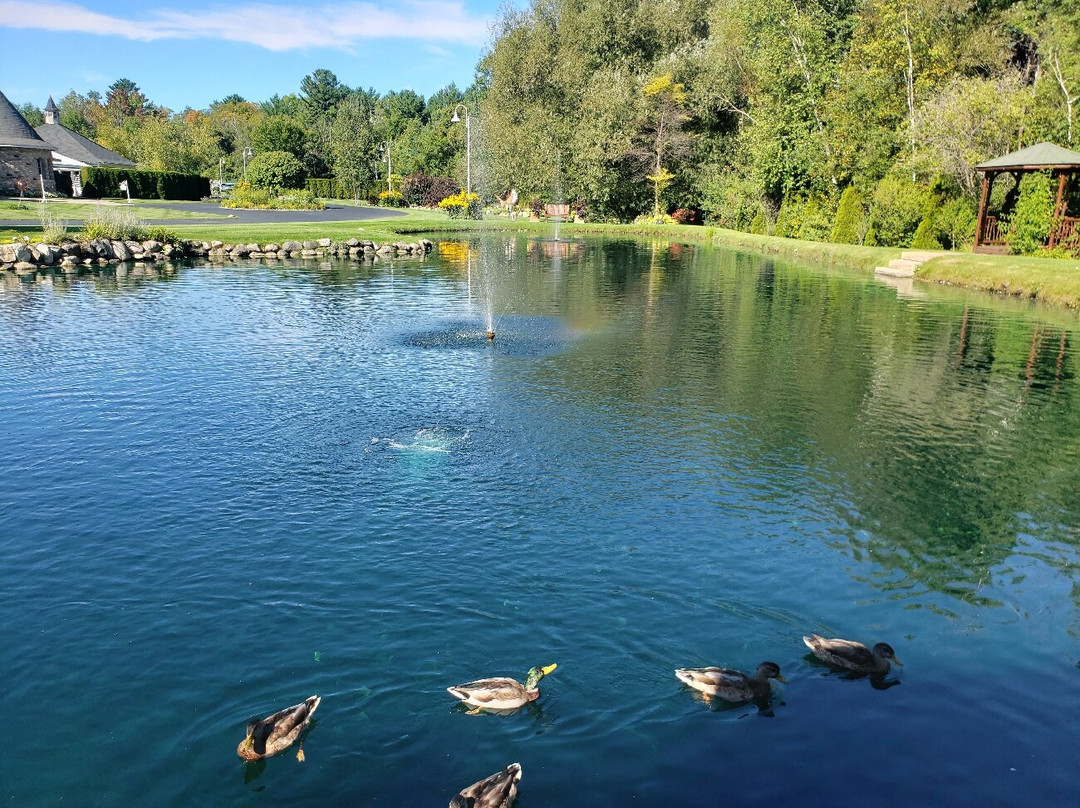 Castle Farms-夏洛瓦必去景点