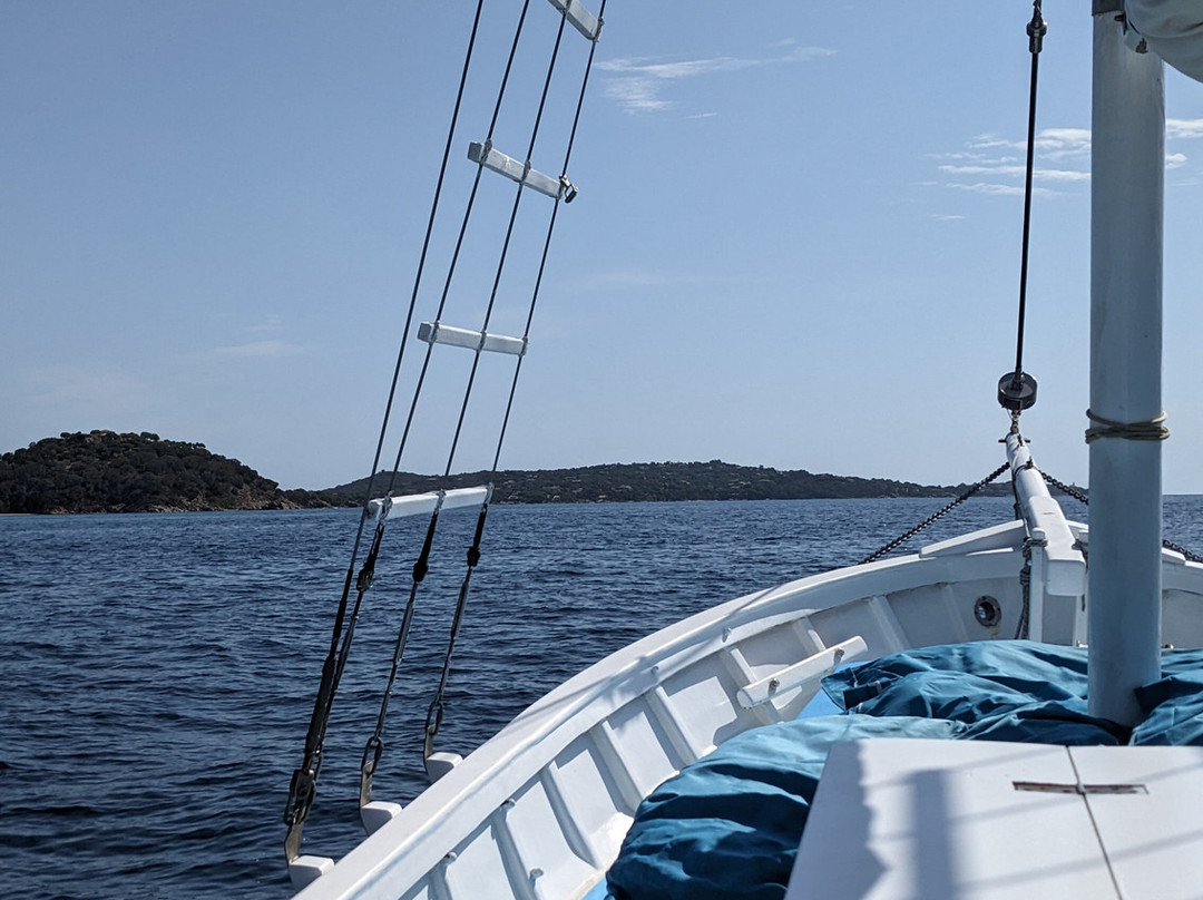 Promenades Du Golfe-维琪奥港必去景点