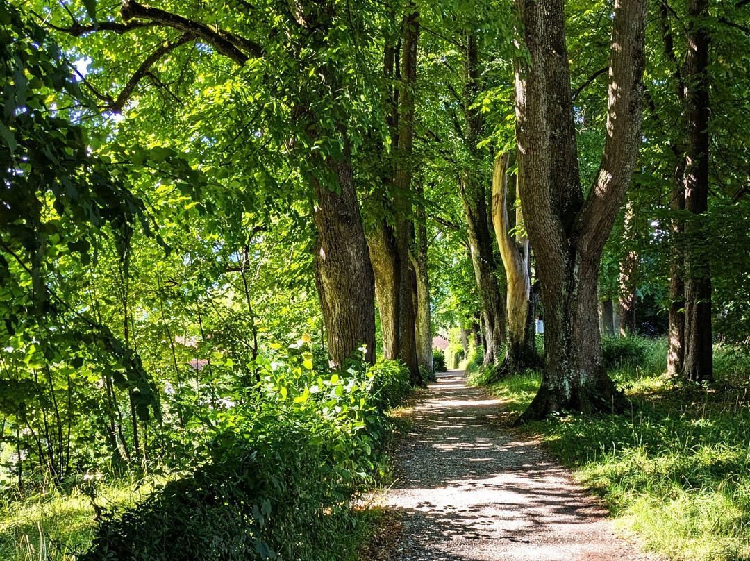 Kottmullerallee-Murnau必去景点