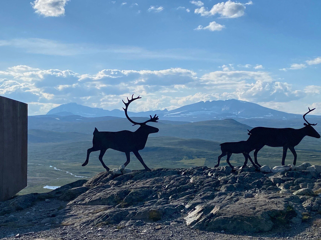 Viewpoint Snøhetta Visitor Centre Wild Reindeer-Hjerkinn必去景点