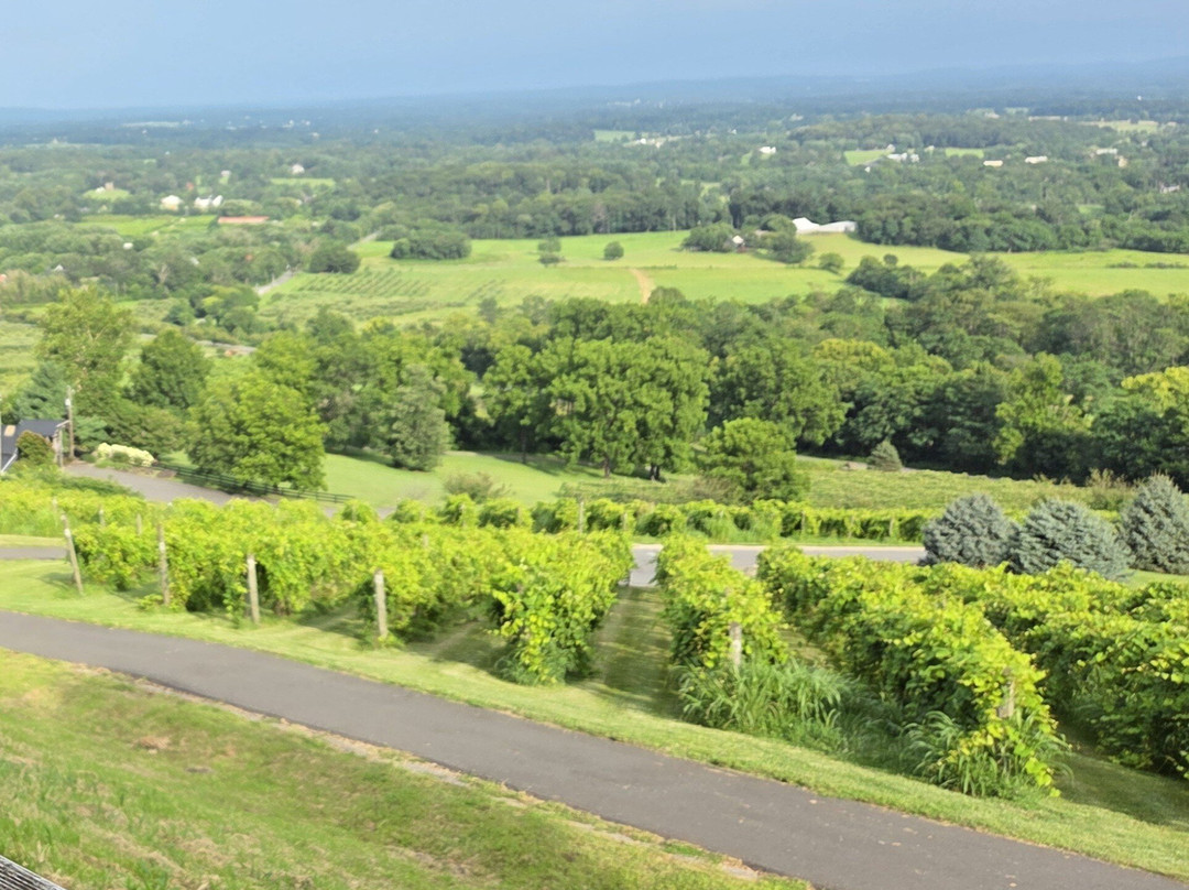 Bluemont Vineyard-Bluemont必去景点