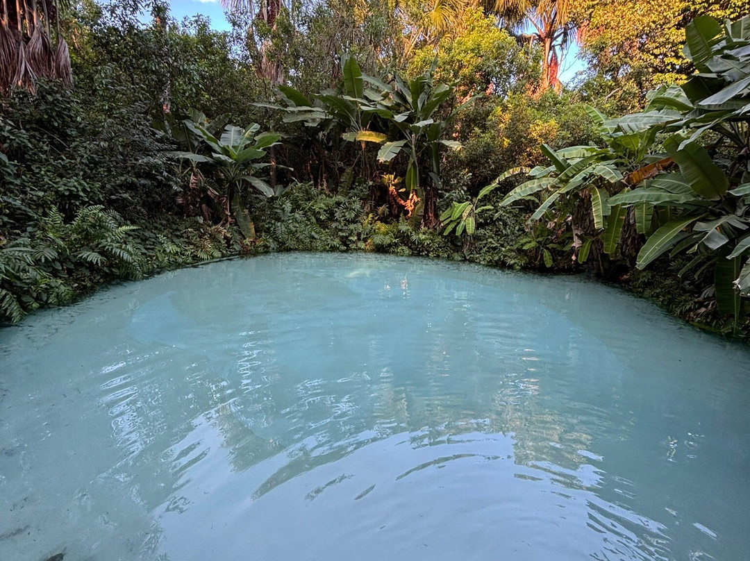 Fervedouro Bela Vista-Sao Felix do Tocantins必去景点