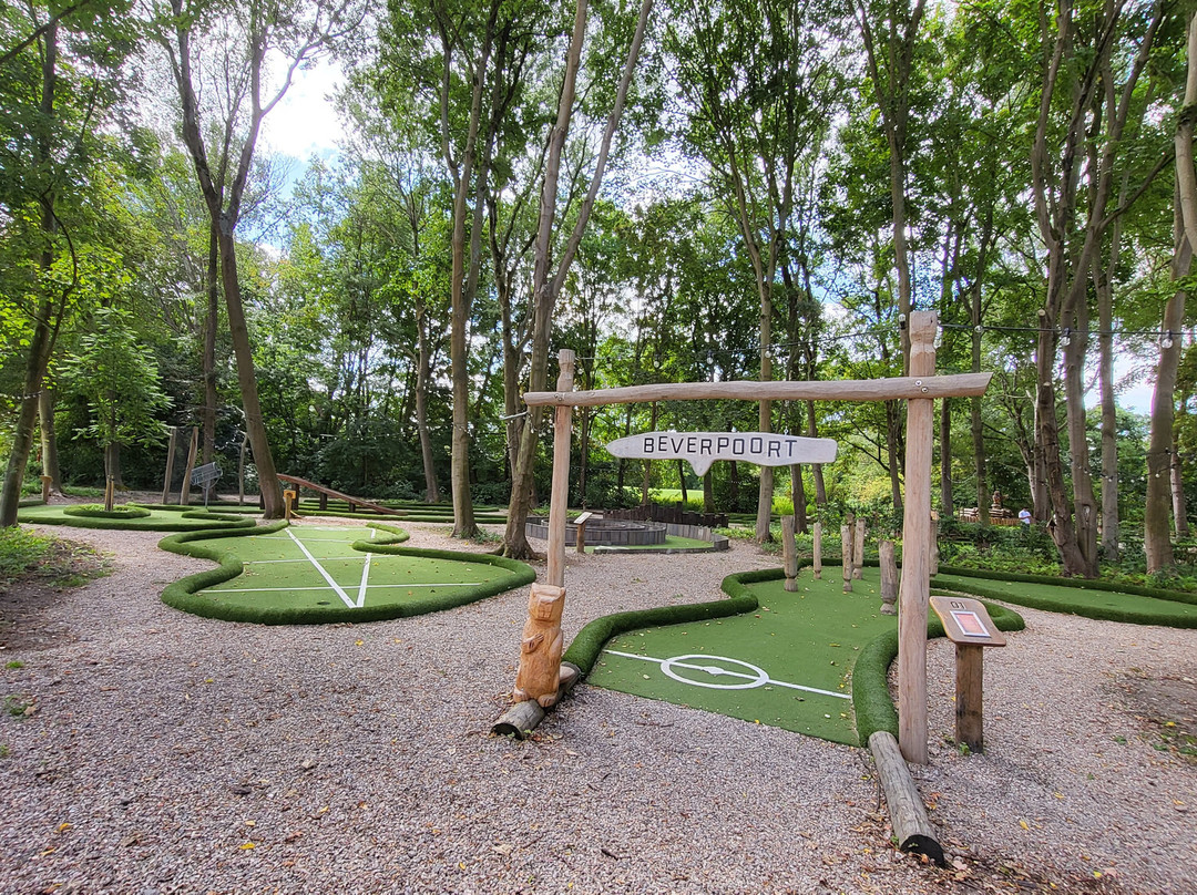 Abel. Activiteiten-Poortugaal必去景点